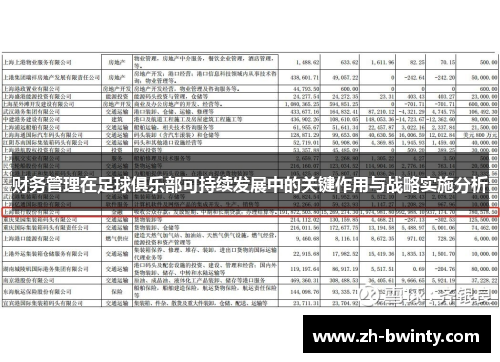 财务管理在足球俱乐部可持续发展中的关键作用与战略实施分析