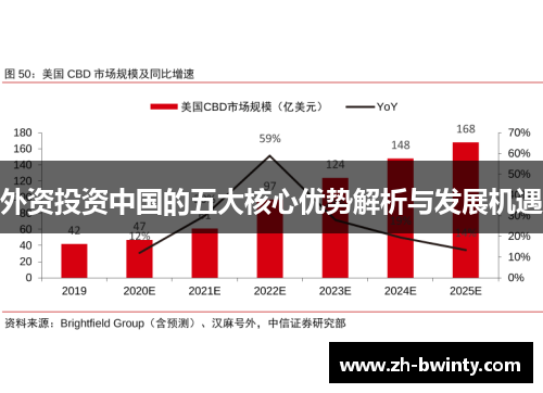 外资投资中国的五大核心优势解析与发展机遇
