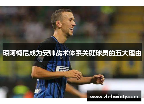 琼阿梅尼成为安帅战术体系关键球员的五大理由