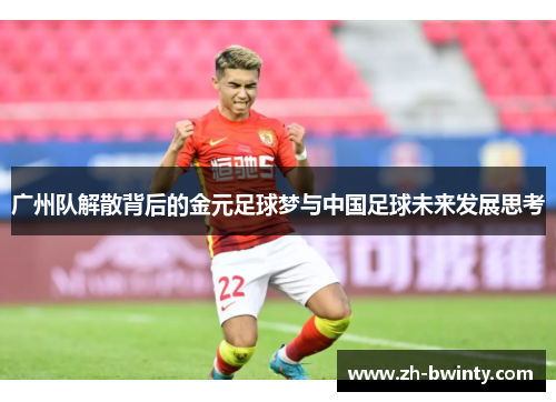广州队解散背后的金元足球梦与中国足球未来发展思考