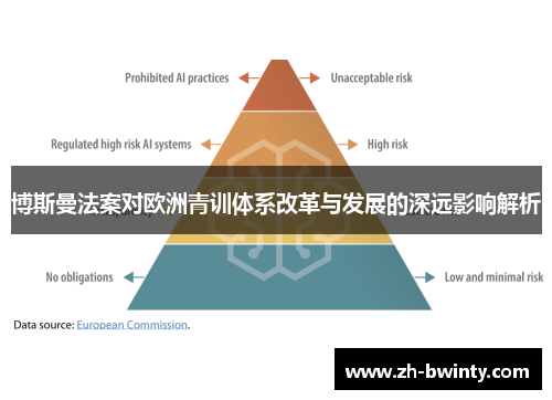 博斯曼法案对欧洲青训体系改革与发展的深远影响解析