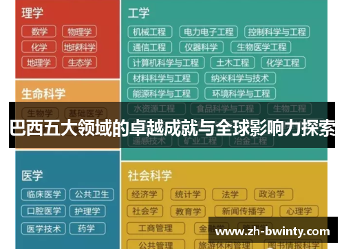 巴西五大领域的卓越成就与全球影响力探索